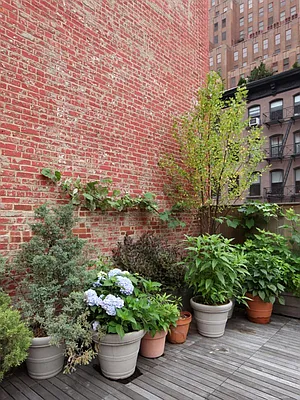 Sold by Sotheby's International Realty | media 19