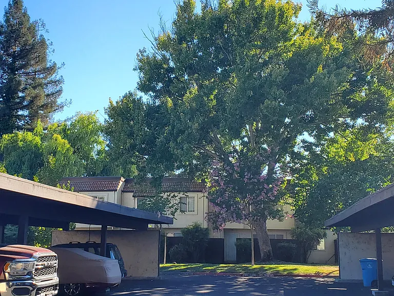 1712 Las Raposas Ct — Photo 16