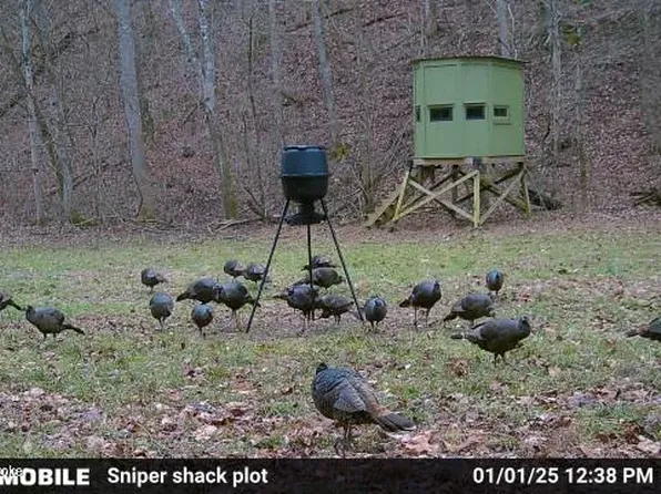 0 Green Hollow Rd, Raywick, KY 40060