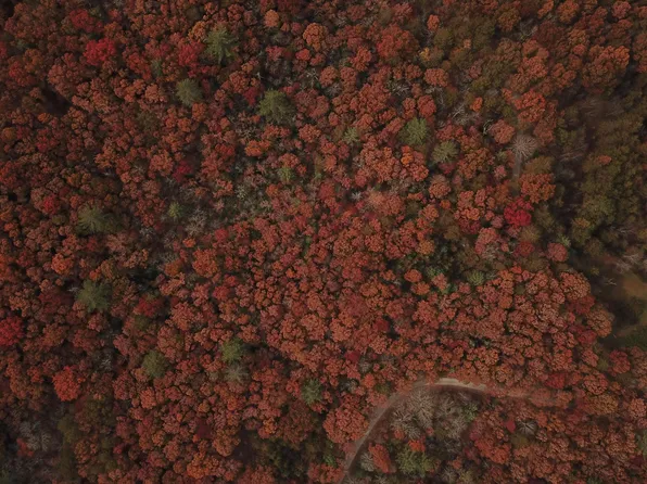 0 Byrd Rd, Mineral Bluff, GA 30559