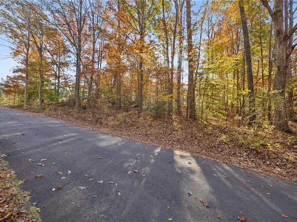 LT575 Locust Drive, Louisa, VA 23093