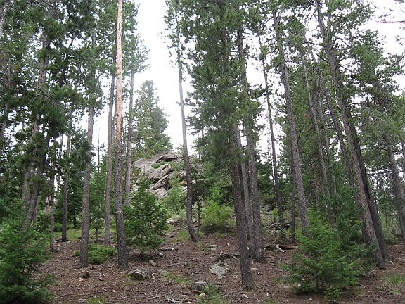 LowerOutcropping