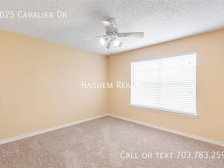 8025 Cavalier Dr — Photo 14
