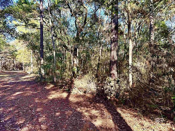 3rd image of 10724 County Road 1