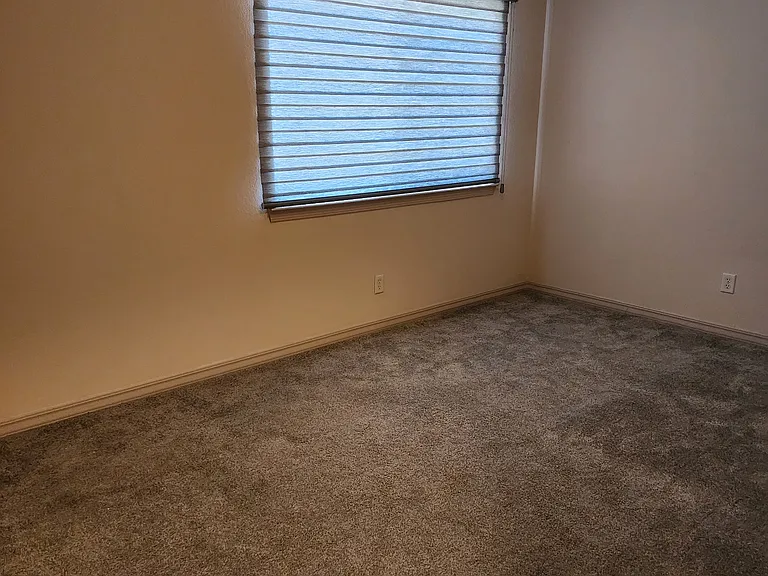 1517 Alovera Ln — Photo 16