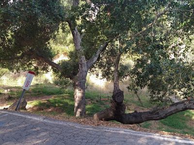 20228 Croydon Ln, Topanga, CA, 90290
