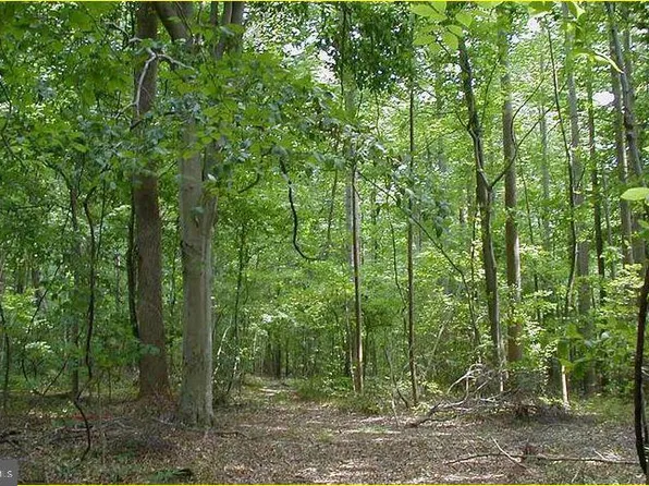 12605 Cedarville Rd, Brandywine, MD 20613