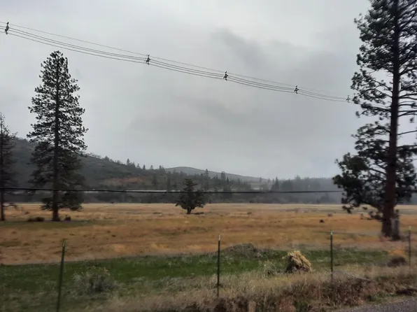 12800 N Old Stage Rd, Weed, CA 96094