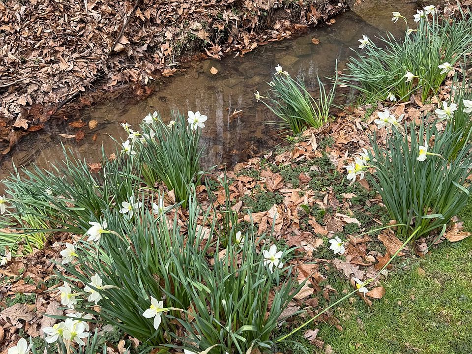 37th image of this home