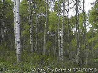 2nd image of 451 E Green Briar Rd #451