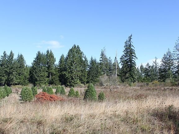 5th image of 5 E Brockdale