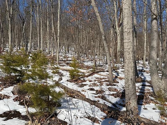 2nd image of 1706 Mercer Rd