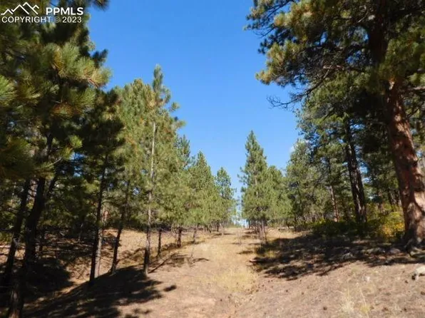 4525 Delaware Dr, Larkspur, CO 80118