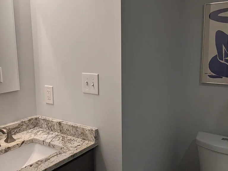 bathroom vanity and dual flush toilet