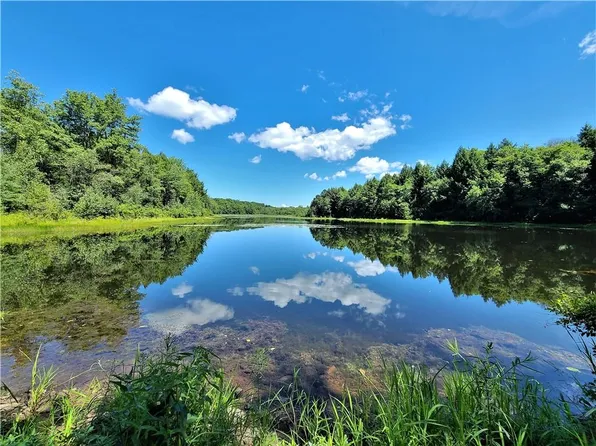 Lot 19.1 Beaver Lake Road, Livingston Manor, NY 12758