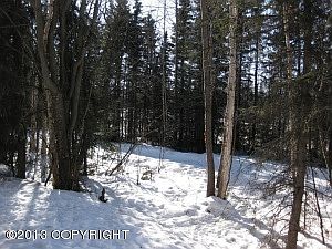 3rd image of 11918 Copper Mountain Dr