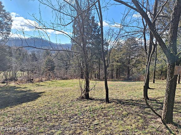 2nd image of 383 Wild Turkey Ln