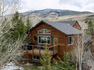 303 Willow Lake Ct, Silverthorne, CO 80498