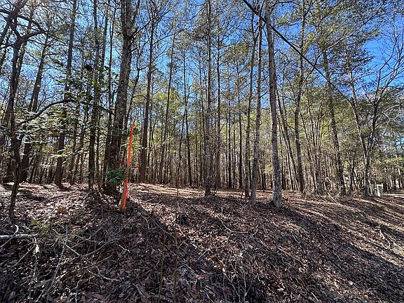 5th image of 252 Pebble Cove Rd