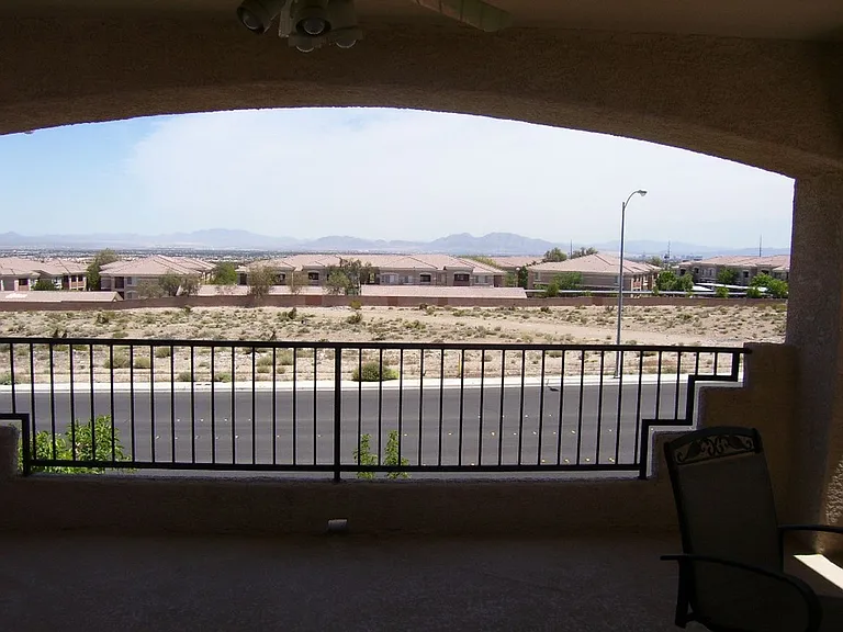 3316 Lacebark Pine St — Photo 23