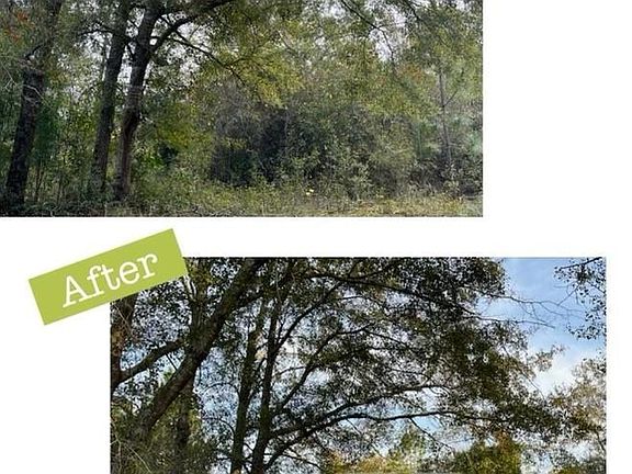 3rd image of 12541 Frondfield Ln