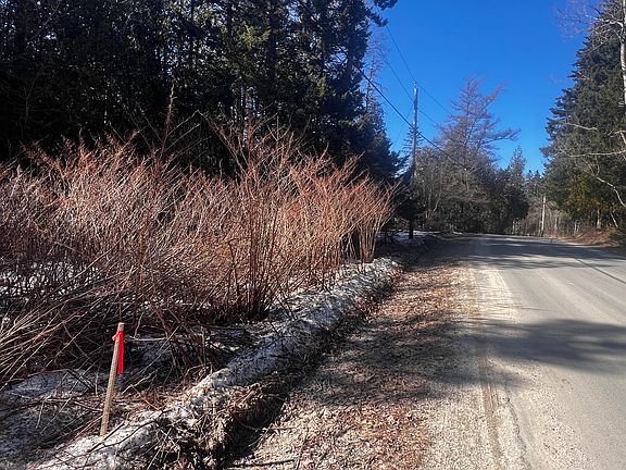 2nd image of 1148 Cape Rosier Road
