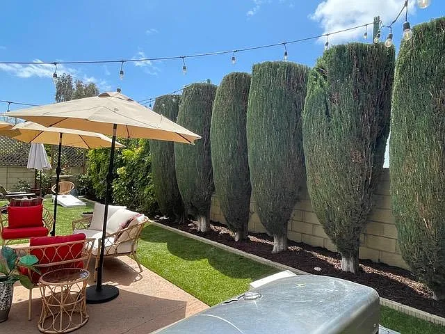 11381 Montserrat St — Photo 5