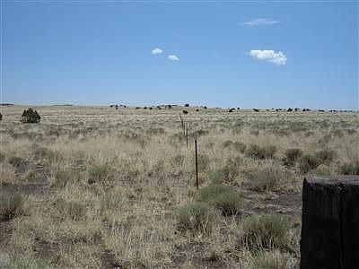 1st image of 302 Antelope Ovi