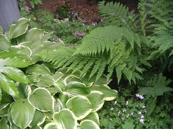 Layers of texture and color