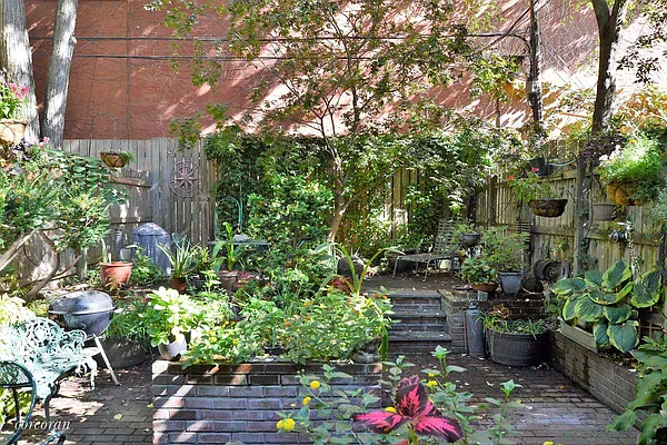 Rented by Corcoran | media 25