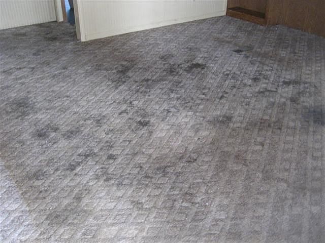 2nd image of 605 Bruners Chapel Rd