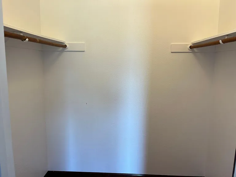 Primary bedroom closet