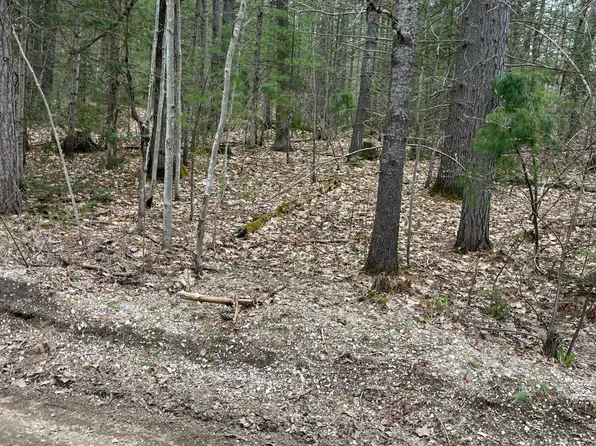2687 Birchcrest Dr NE, Kalkaska, MI 49646