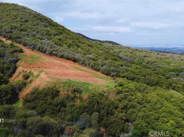 1 Plummers Ln, Mentone, CA 92359