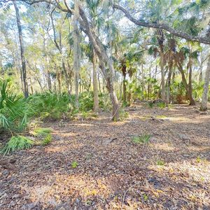 4641 Tree Top Ln #31, Edgewater, FL, 32141