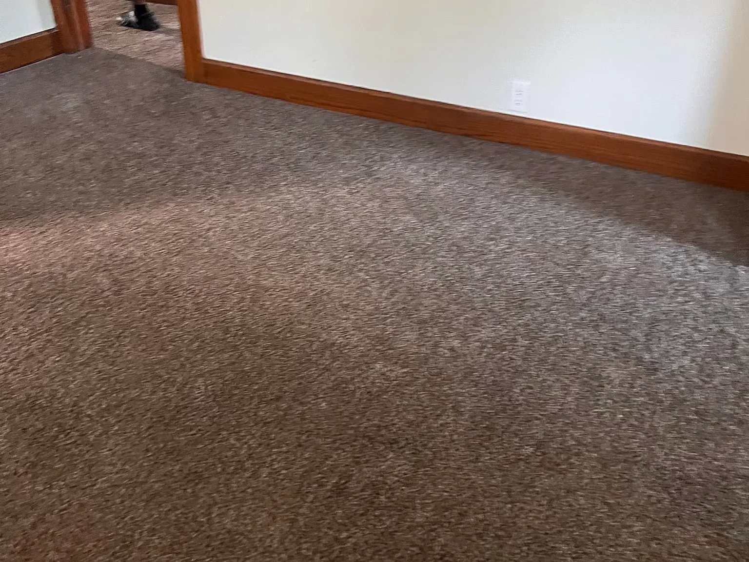 2 bed, 1107 sqft, $1,100 — Photo 4