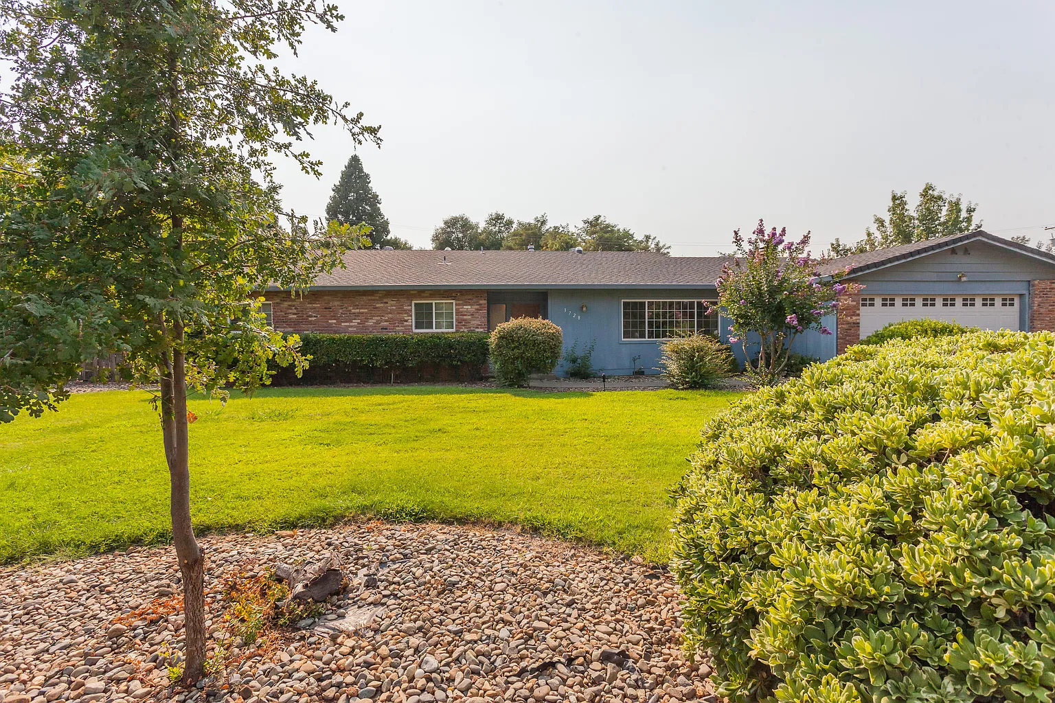 3728 Suzanne Way photo 1