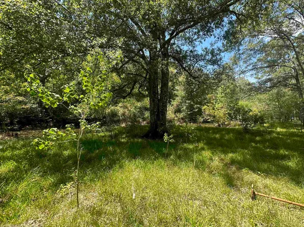 LOT 112 Gunboat Landing Rd, Maurepas, LA 70449