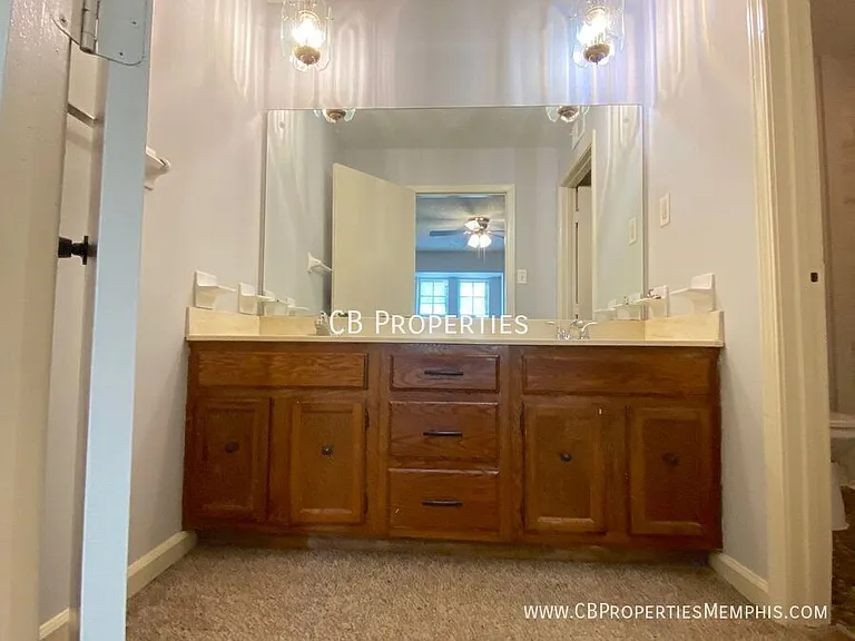 4534 Trout Valley Dr — Photo 10