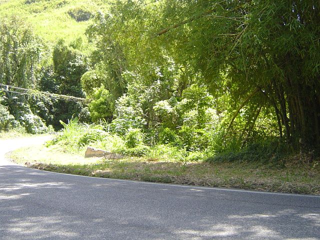 2nd image of 155 Street
