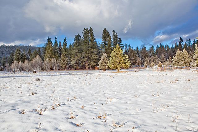 1st image of 15647 Blacktail Ln