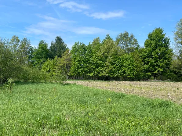4520 NE 22 Mile Rd #2, Sand Lake, MI 49343