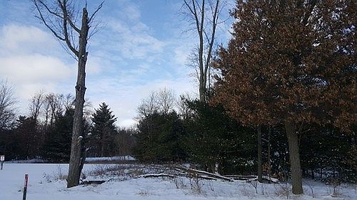 5th image of 330 Pine Meadow Ct