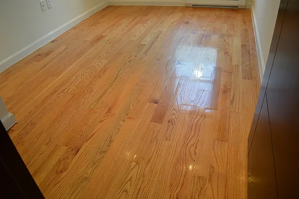 Rented by CoSo Apartments | media 57