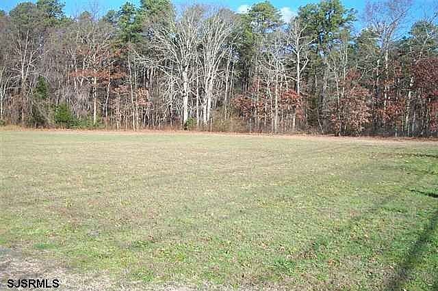 Front Field