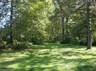 Stearns Rd, Olmsted township, OH 44138