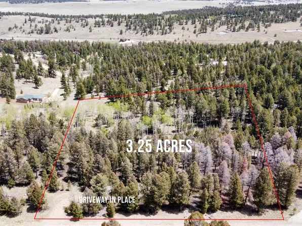1980 Pitchfork Road LOT 1251, Hartsel, CO 80449