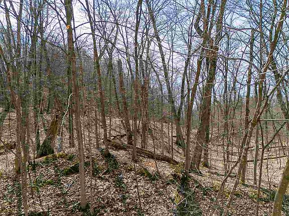 2nd image of LOT 247 White Birch Rd