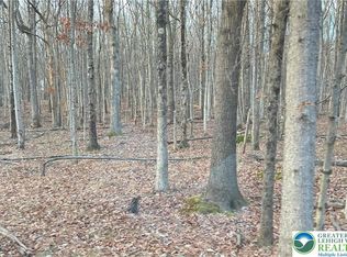 6 Occoquan Trl #1723, Albrightsville, PA