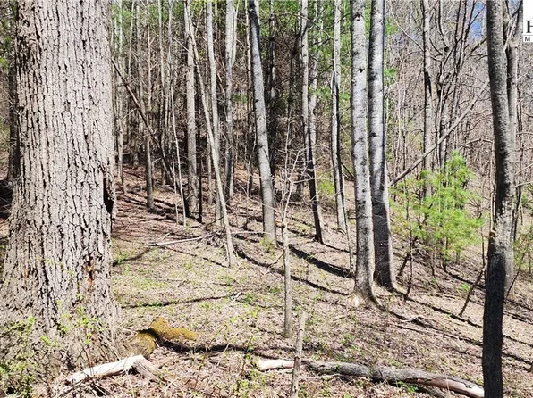 tbd Earnest Ridge Road, Vilas, NC 28692